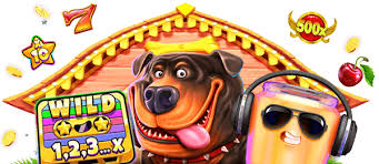 Discover the Excitement of Royal Reels 8 Login Your Gateway to Endless Fun